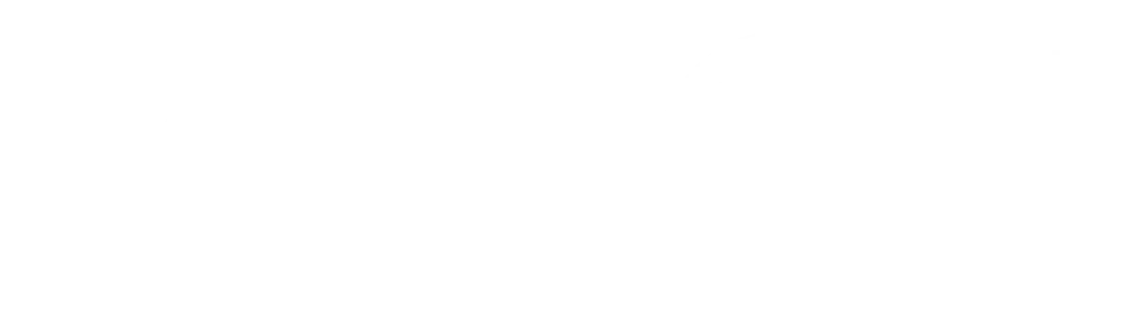 logo light